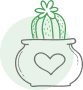 Picture of plant