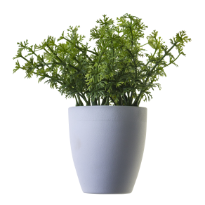 Green plant
